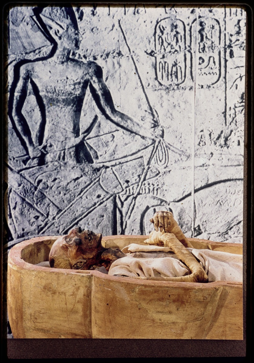 Lire la suite à propos de l’article Petite histoire de la momie de Ramsès II