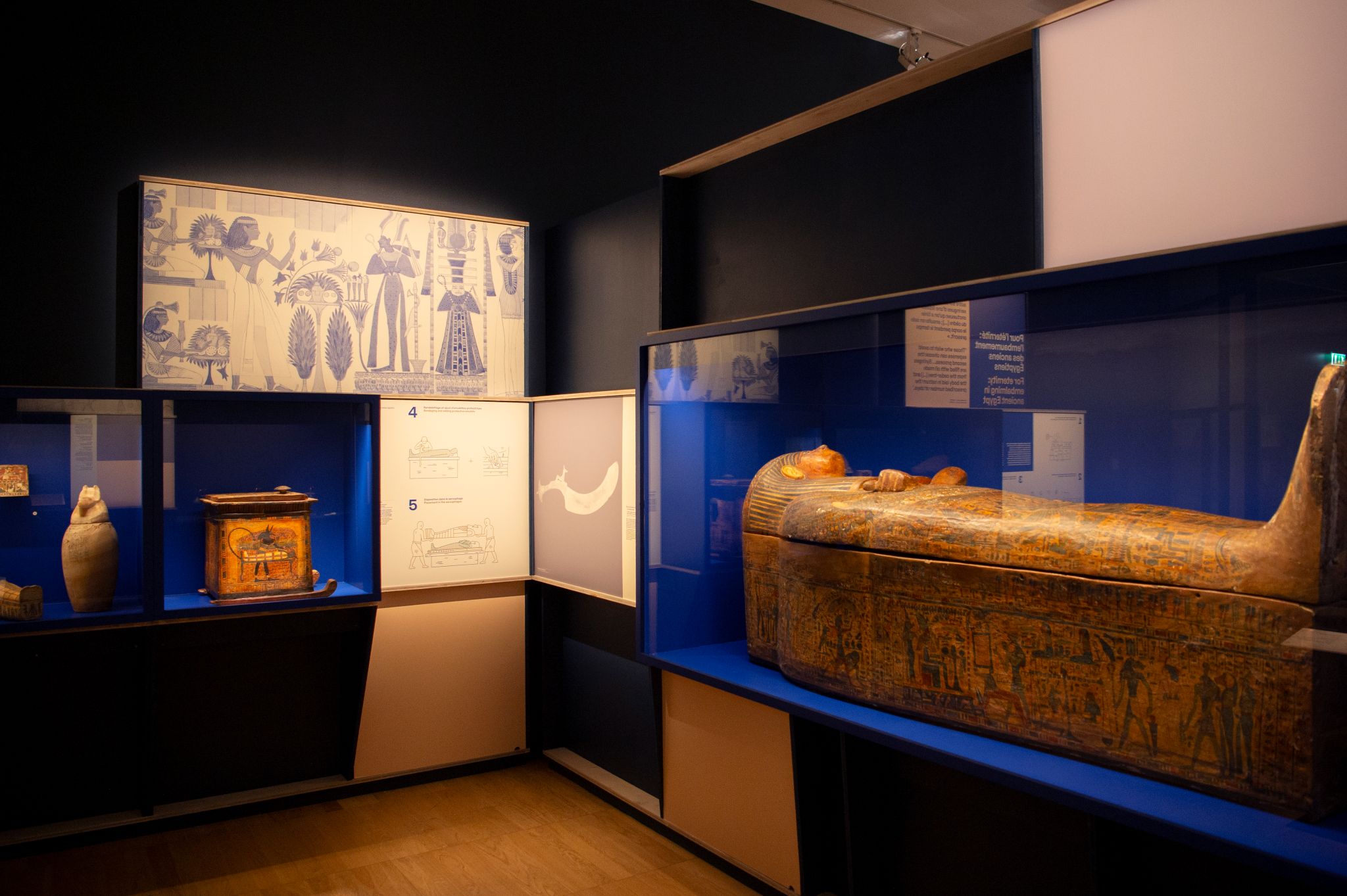 Lire la suite à propos de l’article Momies